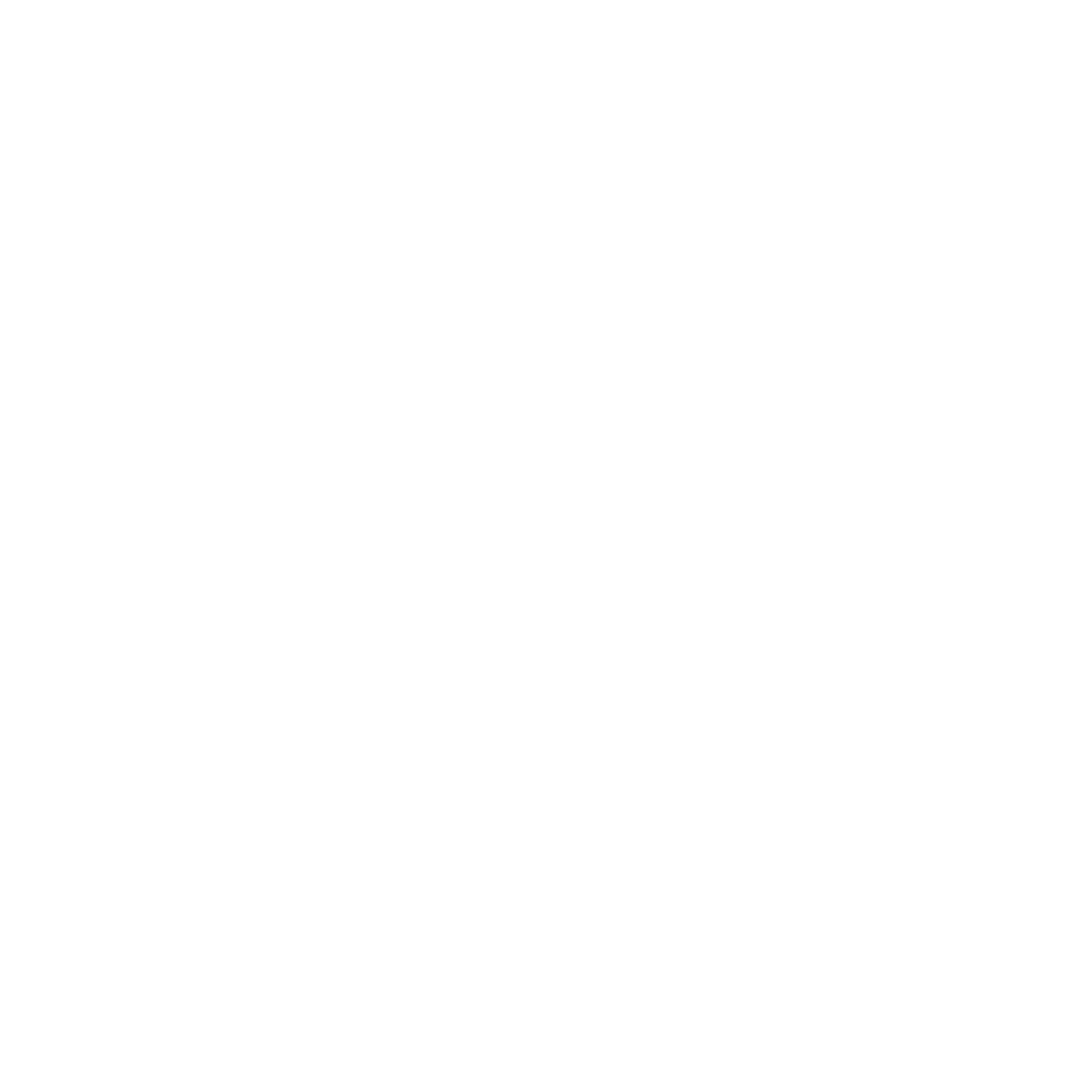 RevBoss Logo