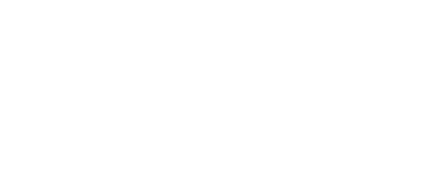 RevBoss Logo